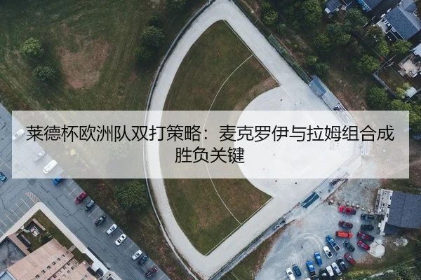 lai-de-bei-ou-zhou-dui-shuang-da-ce-lve-mai-ke-luo-yi-yu-la-mu-zu-he-cheng-sheng-fu-guan-jian-2-788.jpg