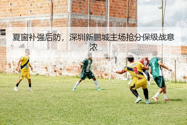 夏窗补强后防，深圳新鹏城主场抢分保级战意浓